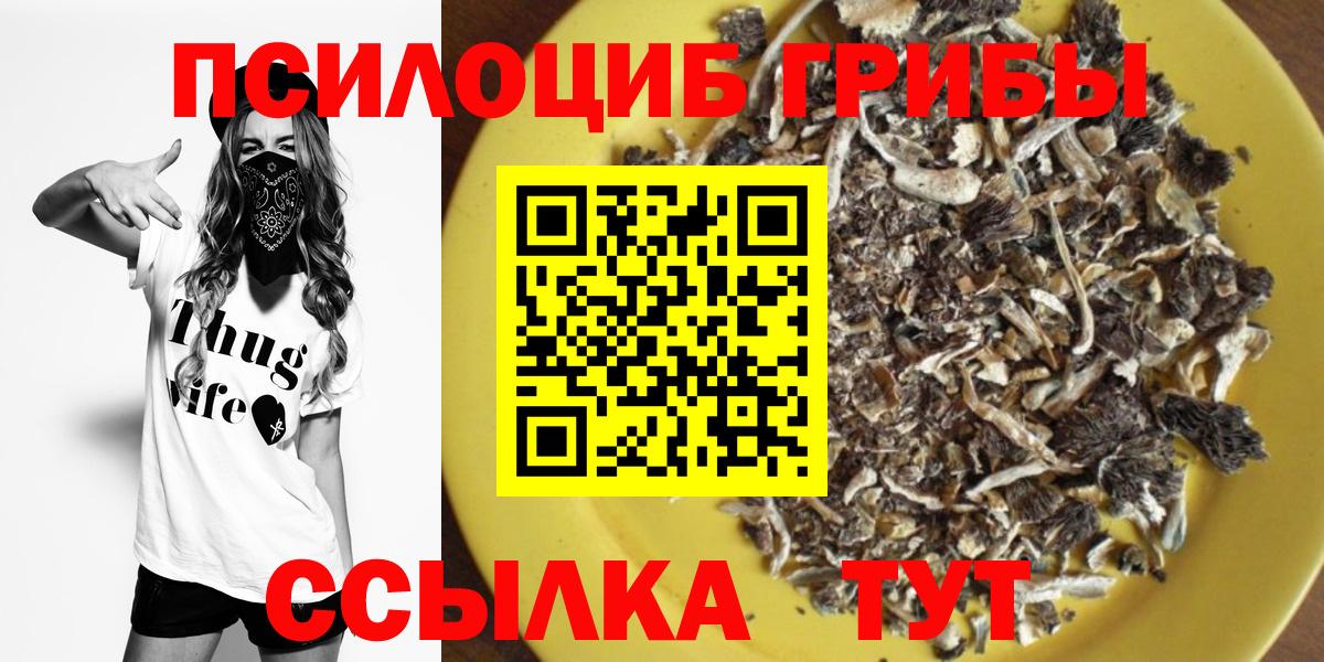 Псилоцибиновые грибы Magic Shrooms Кулебаки