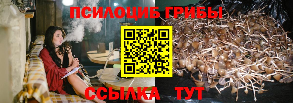 Псилоцибиновые грибы ЛСД  Вход с VPN  Кулебаки 